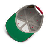 Anicca Snapback Hat